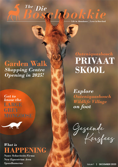 The Boschbokkie - Dec 2023