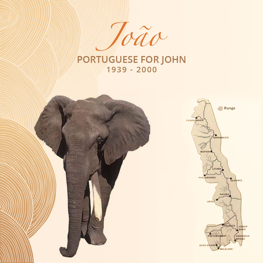 João
