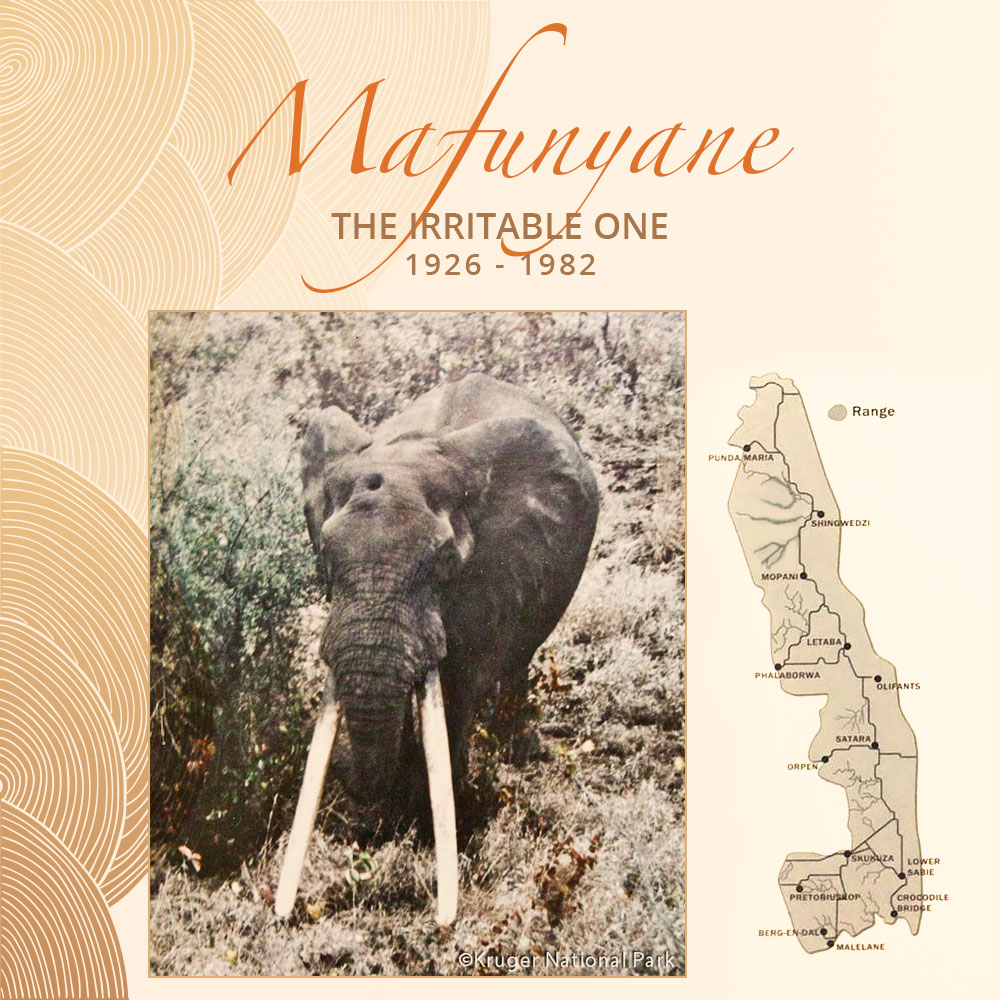Mafunyane