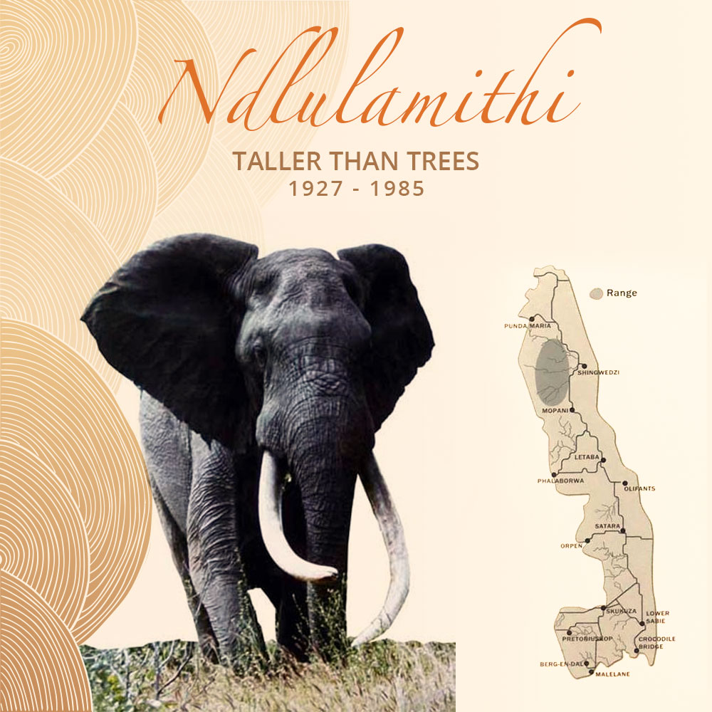 Ndlulamithi