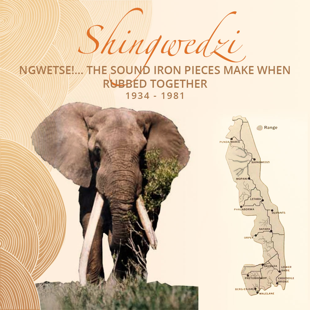 Shingwedzi