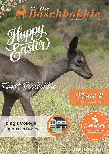 The Boschbokkie - April 2025