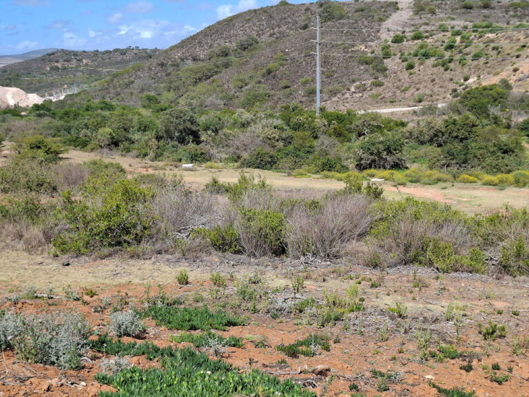 Erf 8494 – 1001 m² Plot for Sale