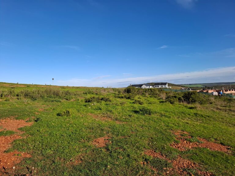 Erf 7983 – 500 m² Plot for Sale