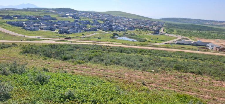 ERF-8485 Large Stand with Greenbelt on Both Sides – Outeniquasbosch Wildlife Village