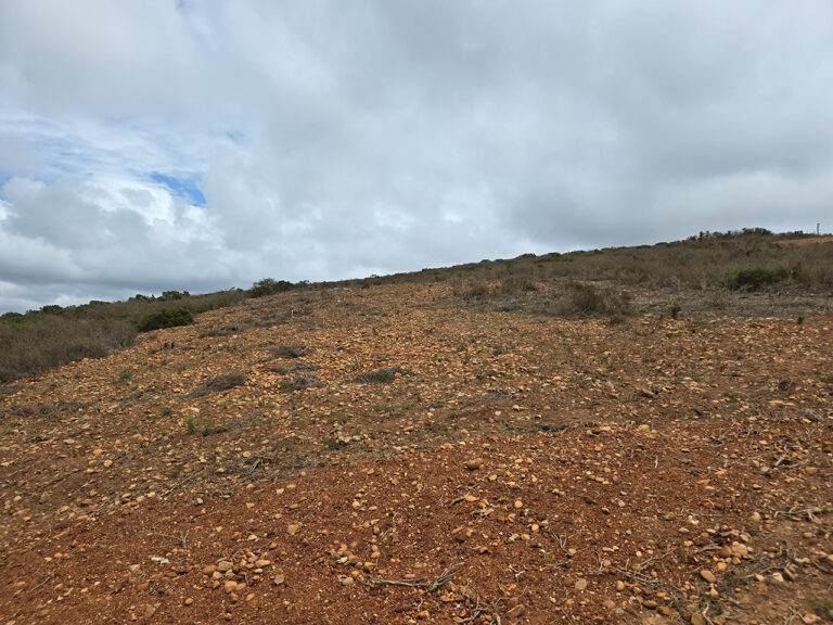 Erf 8480 – 1005 m² Plot for Sale